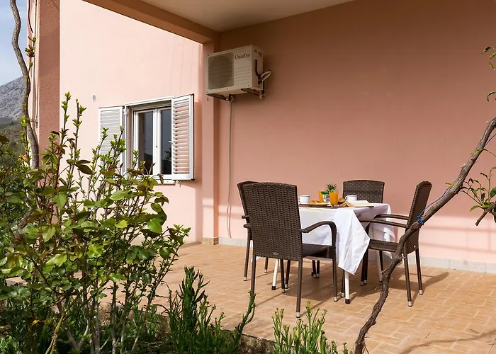 Ani *